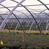 photo of tunnel style green house