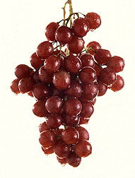 Photo: Grapes.   Link to photo information