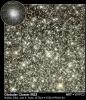 Globular Cluster M22