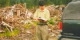 BU graduate student Conghe Song taking a GPS reading in front of a recent clear-cut.