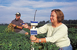 Technicians monitor telemetry equipment  in a peanut field. Link to photo information