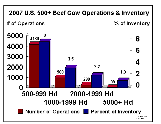 Beef Cows: Operations and Inventory by 500+ Head Size Group, US