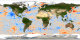 The oceans in this animation have been falsely colored.  Temperatures warmer than normal are shown in red while cooler than normal temperatures are shown in blue.