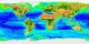 This animation shows the first six years worth of biosphere data taken by the SeaWiFS instrument.  On land, areas of high plant life are shown in dark green, while areas of low plant life are shown in tan.  In the ocean, areas of high phytoplankton are shown in red, and areas of lowest phytoplankton are shown in blue and purple.