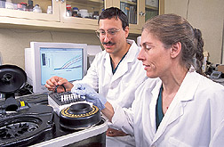 Veterinary medical officer and biological science lab technician prepare to load chicken tracheal swab samples: Click here for full photo caption.