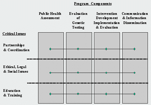 program components