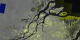 Pan across Amazon rainforest mosaic showing low water season
(blue) and high water season (yellow)