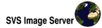 Learn about the SVS Image Server