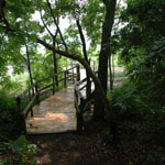 The Nature Trail footbridge.
