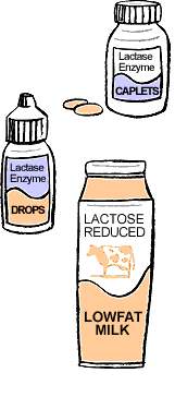 Containers of lactase enzyme caplets, lactase ensyme drops, and lactose reduced lowfat milk.