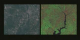 Side-by-side comparison of 30 meter resolution data on the left with 15 meter resolution data on the right, in a zoom down of the DC area from Landsat 7 data acquired on May 11, 1999