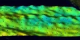 An animation of sea surface temperature, height, and wind anomalies in the Pacific for January 1997 through August 1998.  (Wind anomalies stop at May 1998.)