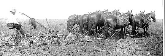1800s farmer plowing a field with an 8 horse team.