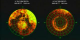 A comparison of images of the aurora over the North Pole on May 11, 1999, when there was no solar wind, and November 13, 1999, during normal solar wind conditions.