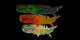 NDVI (in shades of green) is the topmost dataset.  EVI (in shades of red, orange, and brown) is the middle layer.  Landcover (in shades of yellow, orange, and green) is the bottommost layer.