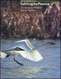Cover of Fulfilling the Promises brochure - a pair of swans skimming the water.