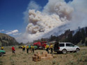 [Photograph]: A column building on the Tobias Fire, SCNF July 2003.