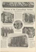 Secrets of the camouflage artists