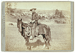 The Cow Boy, LC-DIG-ppmsc-02638