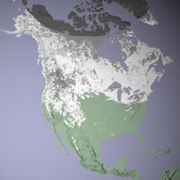 MODIS satellite shows snow cover for North America in January 2004.