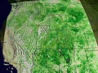 NDVI anomalies in 1999