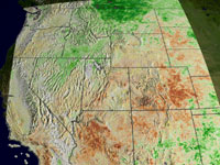 NDVI anomalies in 2002.