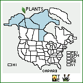 Distribution of Caltha palustris L. var. radicans (T.F. Forst.) Beck. . 