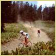 [Photo]: mountain bikers on a dirt road