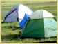 [Photo]: tents in grassy area with trees in the background