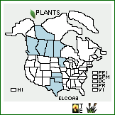 Distribution of Eleocharis compressa Sull. var. acutisquamata (Buckley) S.G. Sm.. . 