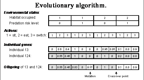 diagram of an evolutionary algorithm