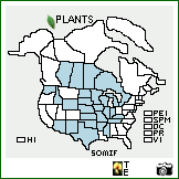 Distribution of Solidago missouriensis Nutt. var. fasciculata Holz.. . Image Available. 