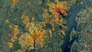 This Landsat data from 1996 of the Washington-Baltimore area, however a special algorithm has been applied to it to illuminate the changes in low-density residential land use which exemplify sprawl. 