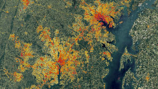 This Landsat data from 2000 of the Washington-Baltimore area, however a special algorithm has been applied to it to illuminate the changes in low-density residential land use which exemplify sprawl.