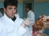 Hundreds of veterinarians were trained on controlling an AI outbreak in Domestic poultry