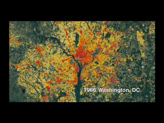 The animation is using Landsat data (from 1986, 1990, 1996, and 2000) of the Washington area, however a special algorithm has been applied to it to illuminate the changes in low-density residential land use which exemplify sprawl.