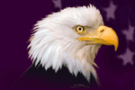 Graphic picture of an eagle.