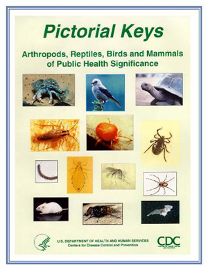 Picture of Book Cover for Pictorial Keys