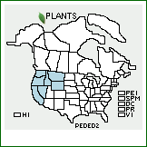 Distribution of Penstemon deustus Douglas ex Lindl. var. deustus. . 