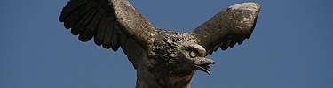 Eagle on monument