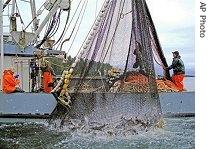 Alaskan salmon fishing boat (file photo)