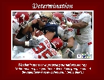 Poster: Determination #1. Slogan: Whether in sports or in protecting our nation’s security, “Determination gives you the resolve to keep going in spite of the roadblocks that lay before you.” Denis Waitley.