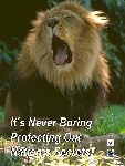 Poster Title: Never Boring.  Slogan: It's Never Boring Protecting Our Nation's Secrets.