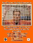 Poster Title:No Clearance.  Slogan:  Hard Time Isn’t the Only Consequence.  The “Smith Amendment” Bars a New or Renewed DoD Security Clearance for Anyone Who  * Was Discharged/Dismissed from the Armed Forces under Dishonorable Conditions; * Was Incarcerated for One Year (or More); * Is an Unlawful User of Controlled Substances; or * Is Mentally Incompetent