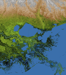 Mississippi Delta, Radar Image with Colored Height