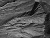 Mid-latitude gullies on a crater wall on Mars