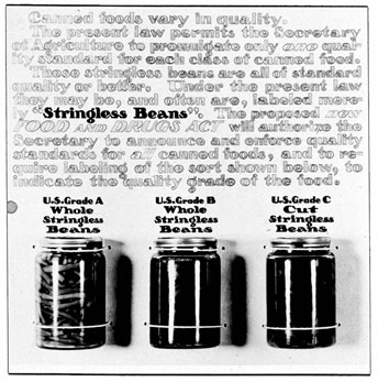 Photo of stringless beans in three jars.