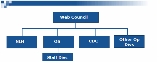 Web Council Structure