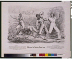 Effects of the Fugitive Slave Law