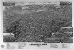 Bird's eye view of Leadville, Colo. 1882